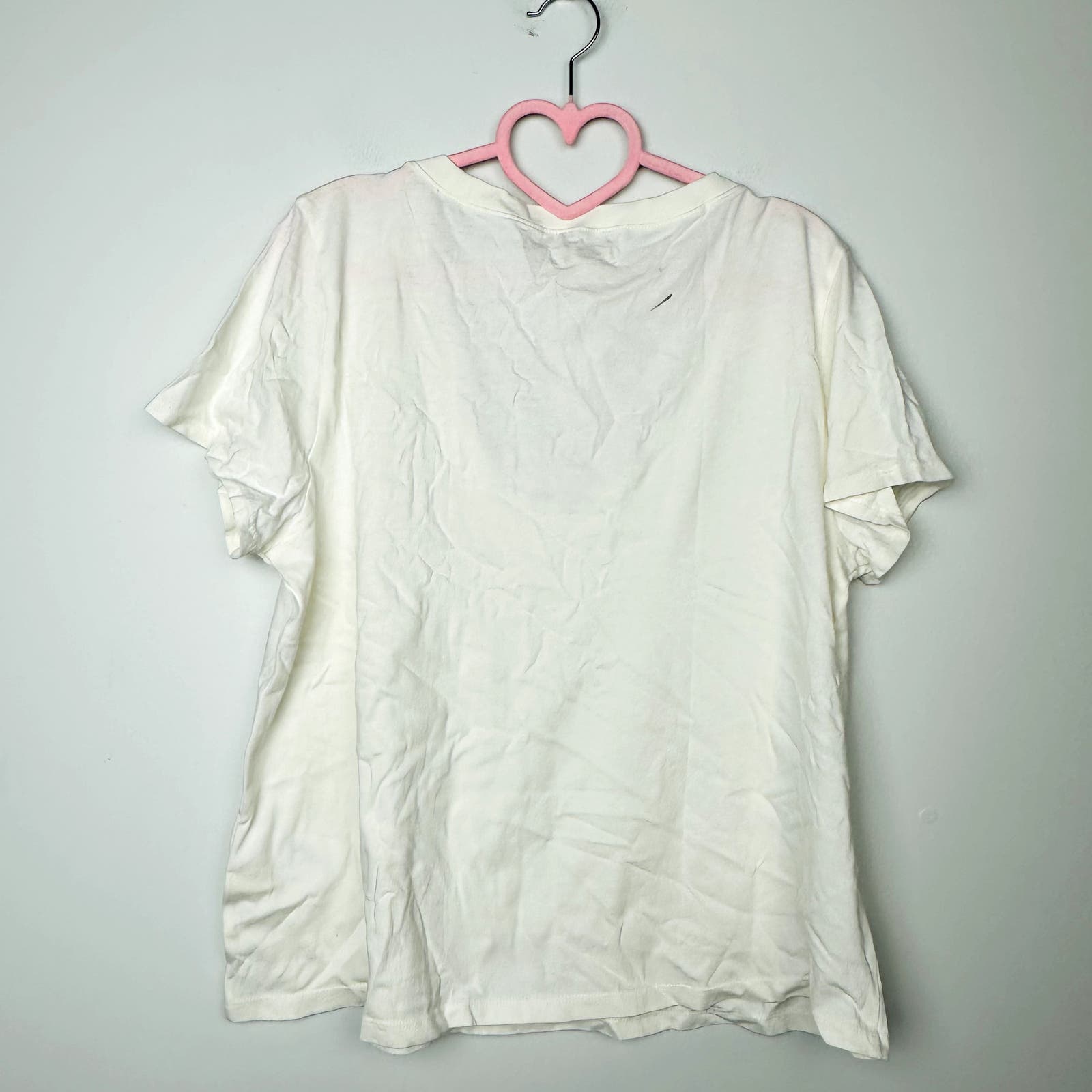 Madewell NWT Lighthouse Softfade Cotton V-Neck Crop Tee Size Large